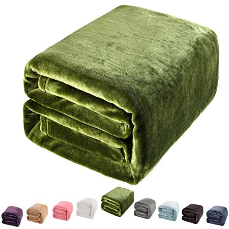 Shilucheng Luxury Fleece Blanket Super Soft and Warm Fuzzy Plush Lightweight Throw Couch Bed Blankets Mini Size 43" x 60" - Green