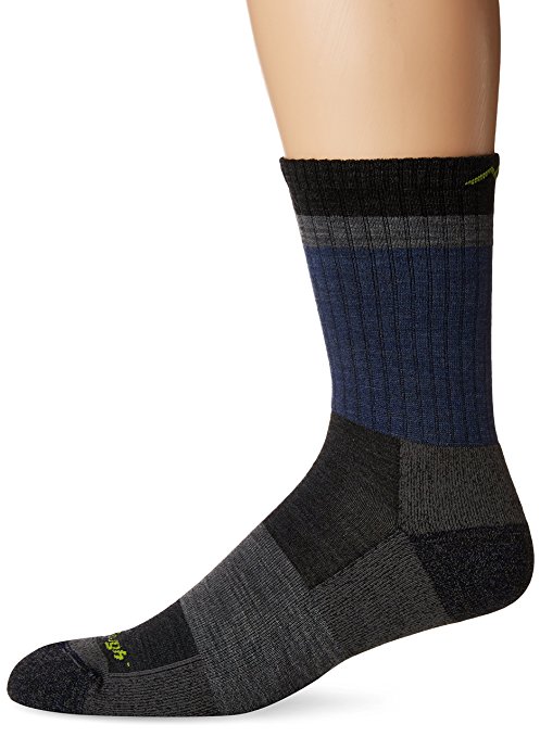 Darn Tough Heady Stripe Micro Crew Light Cushion Sock - Men's