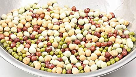Todd's Seeds Protein Bean Sprouting Seed Mix; Green Pea, Mung Bean, Adzuki, Garbanzo - 1 Pound