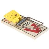 Mouse Traps 8 Pack