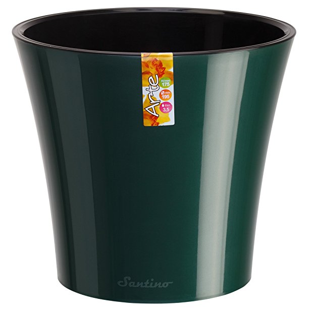 Santino Arte Self Watering Planter, 5.3 Inch, Green/Black