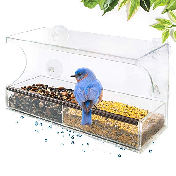Go Simply Amazing Window Bird Feeder; Bird Feeders for Outside, Bird House for Outdoors Squirrel Proof, Unique Gifts, View Bluebird, Finch, Cardinal & more from your backyard   4 Extra Suction Cups!