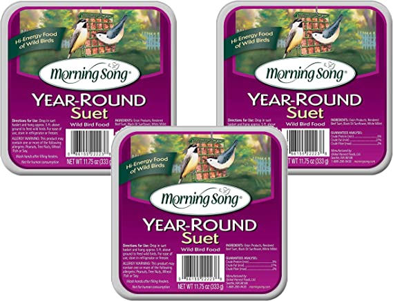 Morning Song 3 Pack of Year-Round Suet Wild Bird Food, 11.75 Ounces Each