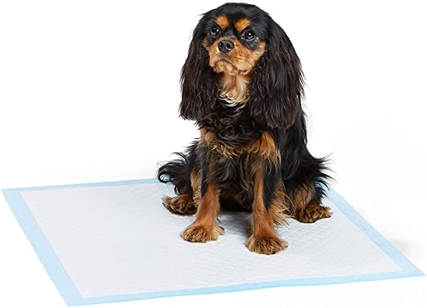 AmazonBasics Heavy Duty Regular Pet Dog and Puppy Training Pads - Pack of 80, 24 x 23 Inches