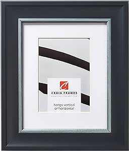 Craig Frames Martin, 11 x 14 Inch Black and Silver Picture Frame Matted to Display an 8 x 10 Inch Photo