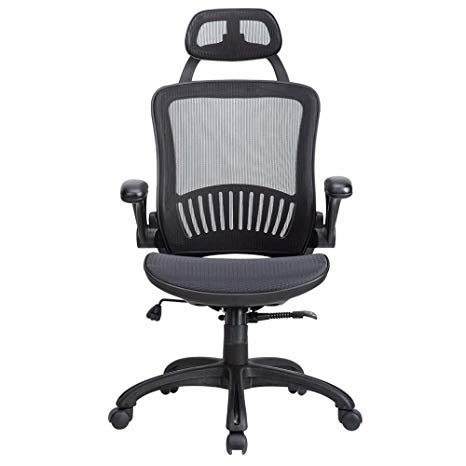 Computer Desk Office Chair, Ergonomic Executive Mesh Task Chair Lumbar Support for Office Chair with Flip-up Arms