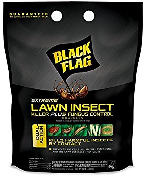 Black Flag 10 lb Extreme Lawn Insect Killer   Fungus Control Granules 4-PK