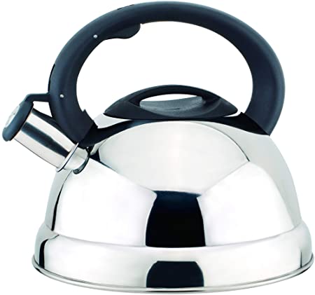 Tea Kettle - Whistling Tea Pot for Stovetop - Stainless Steel 3 Liter with Nylon Handle