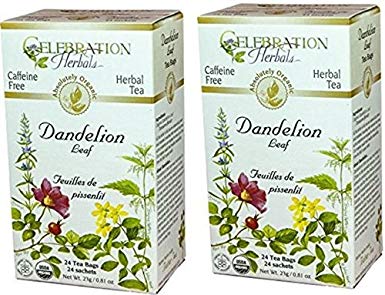 Celebration Herbals - Organic Dandelion Leaf Tea - 48 Herbal Tea Bags (2 packs of 24)