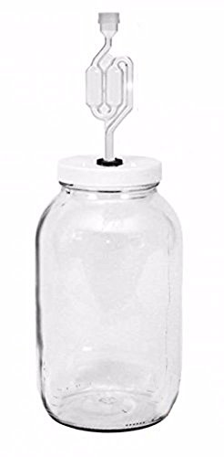 Home Brew Ohio One gal Wide Mouth Jar with Lid and Twin Bubble Airlock