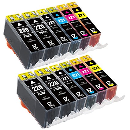 E-Z Ink (TM) Compatible Ink Cartridge Replacement for Canon PGI-220 CLI-221 (4 Large Black, 2 Cyan, 2 Magenta, 2 Yellow, 2 Small Black) 12 Pack