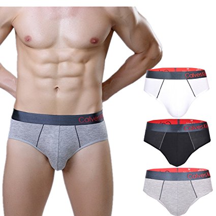 NECOA Men's Underwear 3 Pack Ultra Soft Micro Modal Low Rise Briefs
