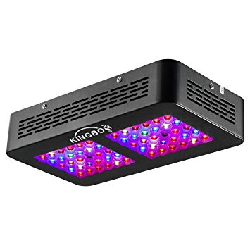 KINGBO Dual Optical Lens-Series 300W LED Grow Light Full Spectrum for Indoor Plants VEG and Bloom（Two Switch, 12-Bands）