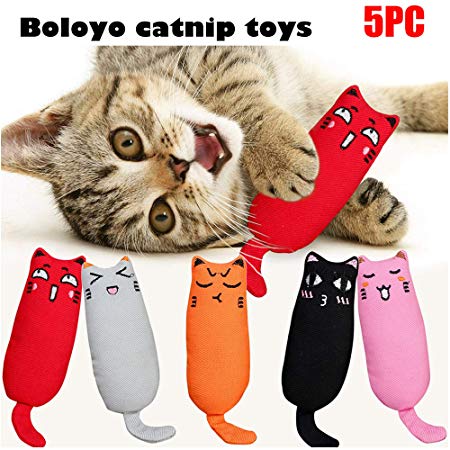 Boloyo Cat Catnip Toys Set Kitty Chew Toy for Teething Interactive Pets Pillow Chew Bite Supplies for Kitten