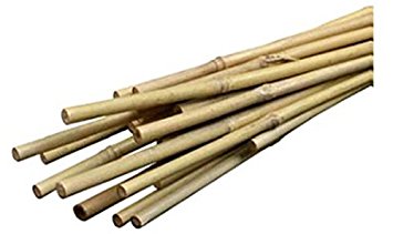 Bond Bamboo Heavy Duty Bamboo Stakes, 6-Feet, 6-Pack
