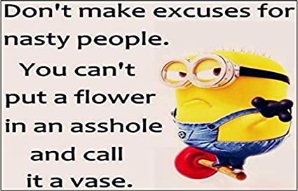 Cartoon Funny Don't Make Excuses for Nasty People Quote- Photo Fridge Magnet