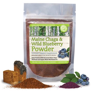 Maine Chaga & Wild Blueberry Powder, Premium Chaga Powder, Makes Over 200 Servings