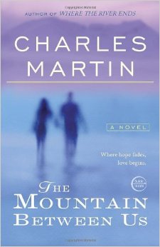 The Mountain Between Us: A Novel