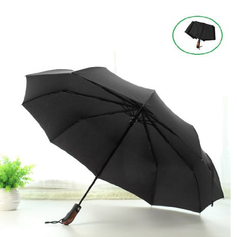 Auto Open &Close Travel Umbrella,Large Umbrella with 10 Ribs,SHINEPA Blizzard-Proof Windproof Durable and Strong Travel Umbrella,Compact Ultra-Slim Business Umbrella(Black)