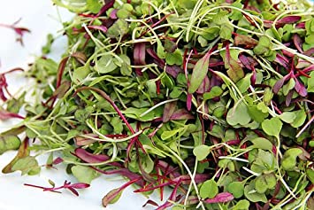 Read-This is a Mix!!! 3000  Seeds Microgreens Mix 40 Varieties - About 1 oz. - Superfood Seeds Heirloom Non-GMO Delicious Easy to Grow! from USA Fresh and Tested Seeds!