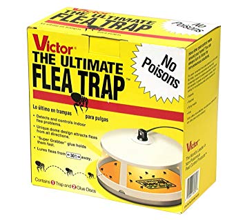 Victor M230 Ultimate Flea Trap With Refills Pack of 3 Traps