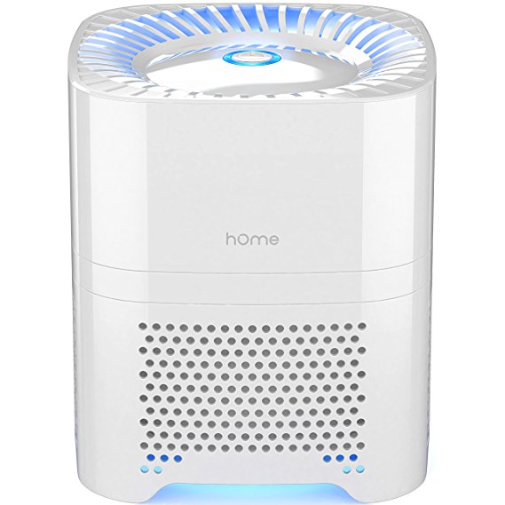 hOmeLabs 3 in 1 Ionic Air Purifier with HEPA Filter - Portable Quiet Mini Air Purifier Ionizer to Reduce Mold Odor Smoke for Desktop Small Room up to 50 Sq Ft - Travel Air Purifiers for Allergies