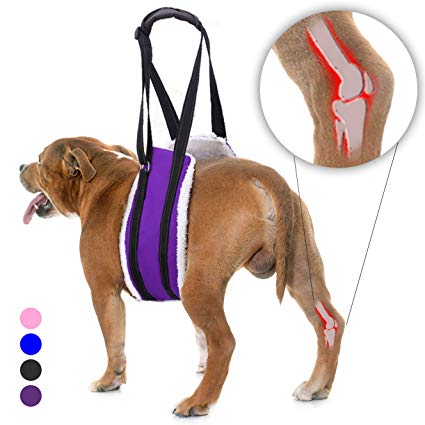 Bolux Portable Dog Sling Rear Legs - Dog Lift Harness for Back Legs, Adjustable Hip Support Harness for Canine Aid Arthritis for Small Medium & Large Dogs Rehab Poor Stability Dogs Walking