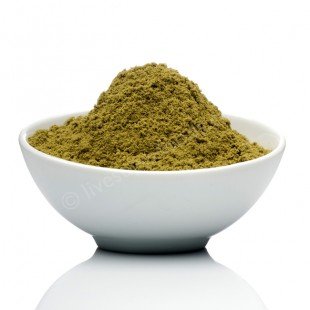 Hemp Protein Powder, Raw Power (16 oz, 100% raw, certified organic)