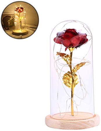Rose LED Bottle Lamp Enchanted Rose Home Room Decor Battery Powered Elegant Glass Dome Artificial Rose Bottle Lamp Desk Light