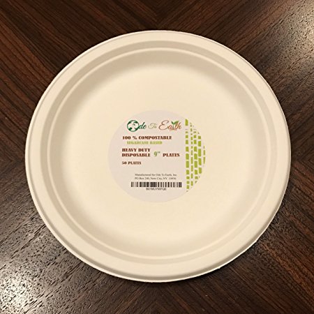 DISPOSABLE SUGARCANE PAPER PLATES 9" 100% COMPOSTABLE BIODEGRADABLE SUGARCANE (BAGASSE) 9" PLATES/DINNERWARE - 50 9" PLATES by Ode To Earth. MAKE A DIFFERENCE!