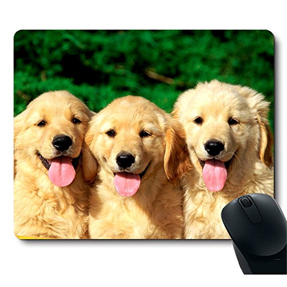 Golden Retriever with Smiling Face Customized Dog Mouse Pad