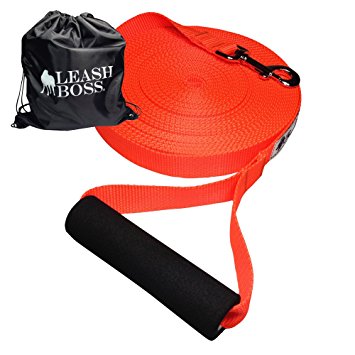 Leashboss Free Range - Long Dog Leash for Large Dogs - 1 Inch Heavy Duty Nylon Training Lead with Padded Handle - High Visibility Orange - Made in USA - Extra Long Dog Leash