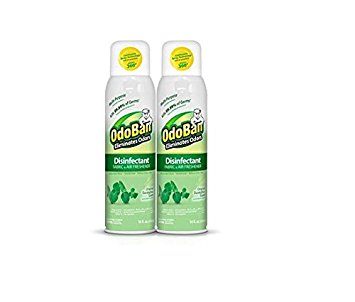 OdoBan Disinfectant Fabric and Air Freshener Spray, Eucalyptus Scent (14 Ounces, 2 Pack)