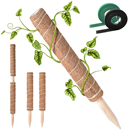 Coir Moss Totem Pole Plant Support Stakes for Climbing Plants Support, 2 Packs 16 Inches, Coir Moss Sticks for Indoor Plants, Monstera Adansonii, Creeper, with 2 Rolls 120 Inch Hook & Loop Ties Tape