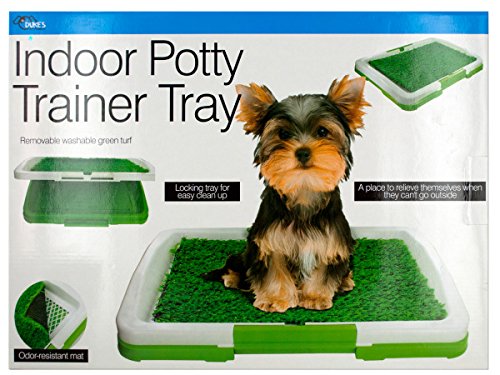Kole Imports Indoor Potty Trainer Tray
