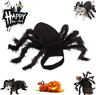 Halloween Pet Spider Costume Cat for Dogs and Cats Dress Party Simulation Spider