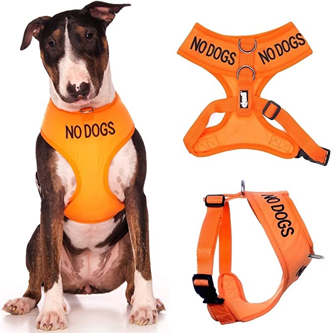 NO DOGS (Not good with other dogs) Orange Color Coded Non-Pull Front and Back D Ring Padded and Waterproof Vest Dog Harness PREVENTS Accidents By Warning Others Of Your Dog In Advance (L)
