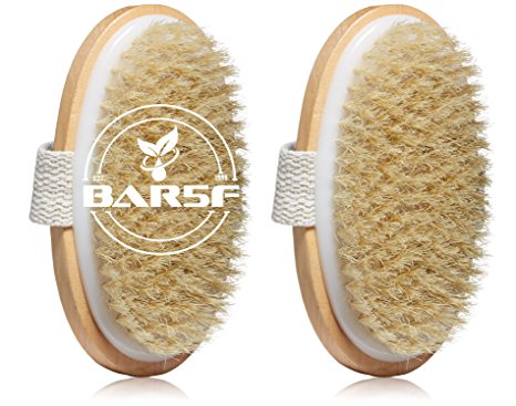 Bar5F Dry Body Brush - 100% Natural Bristles - Cellulite Treatment, Increase Circulation and Tighten Skin. (Pack of 2)