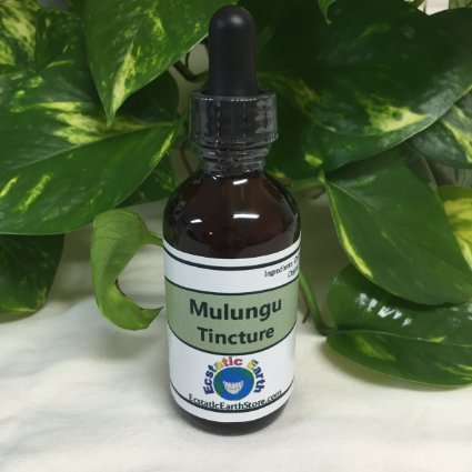 100% Natural Mulungu Bark Tincture ~ 1 Ounce Bottle ~ Erythrina mulungu