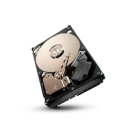 Seagate SV35 1TB 7200RPM SATA 6-Gb/s 64MB Cache 3.5-Inch Internal Drive for Video Surveillance ST1000VX000