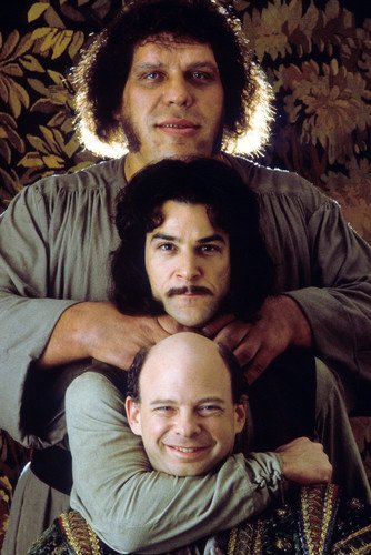 Andrï¿½ The Giant Wallace Shawn Mandy Patinkin The Princess Bride 24x36 Poster