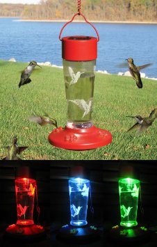 Solar Powered Color Changing Hummingbird Feeder