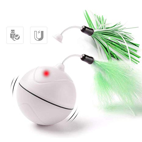 Petleso Cat Toys - Interactive Cat Toy with Cat Feather Toy and LED Light for Kitten Cats for Boredom and Gift
