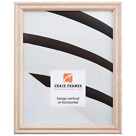 Craig Frames 200ASHWW 12 by 18-Inch Picture Frame, Wood Grain Finish, 0.75-Inch Wide, Whitewash