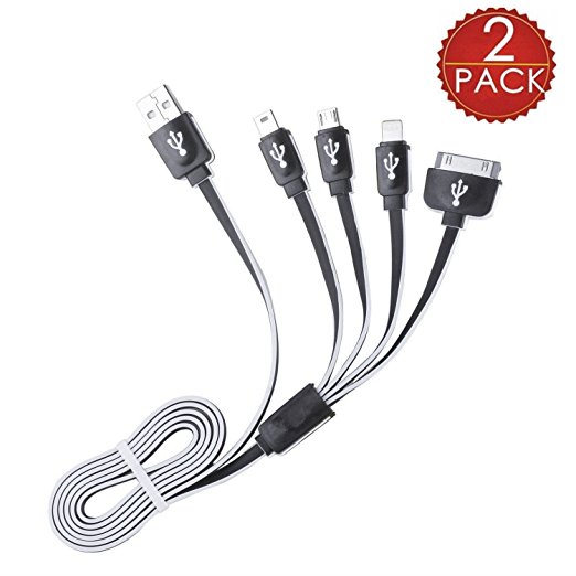 Winsword Multi Charger, 2 Pack (3.3ft) 4 in 1 Multiple USB Charging Cable Adapter with 8 Pin Lightning / 30 Pin / Micro USB 2.0 / Mini USB Ports for iPhone, iPad, Samsung and Android Phones and More