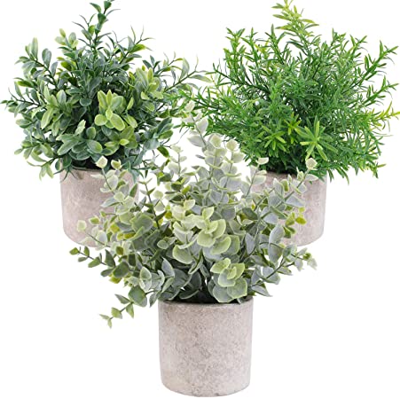 3 Pack Mini Artificial Potted Plants Faux Eucalyptus Plants Boxwood Rosemary Greenery in Pots Small Houseplants for Home Decor Office Desk Shower Room Decoration