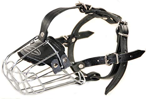 Dean and Tyler Wire Basket Muzzle, Size No. 7 - Small Amstaff