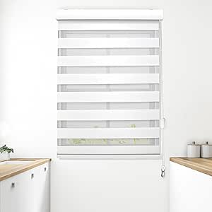 Elegant Comfort Zebra Blinds, Dual Layer Window Treatments Sheer, Privacy Light Control, Pull Strings Roller Window Shades, Day and Night Window Drapes (56Wx72L, White)