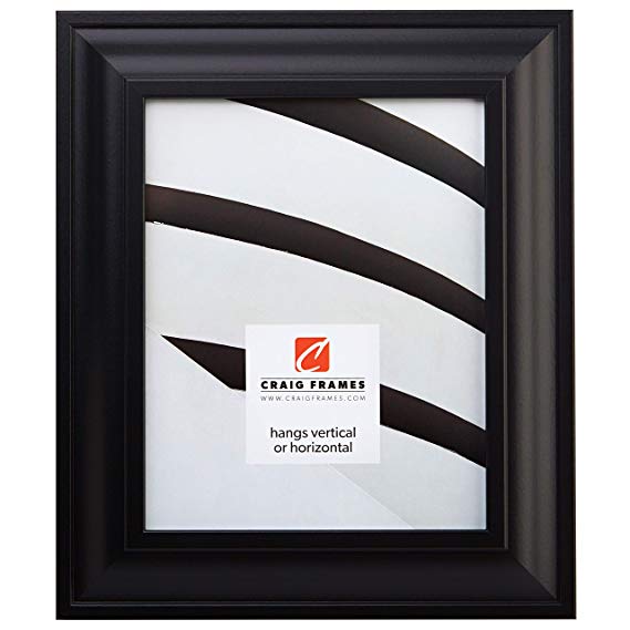 Craig Frames 21834700BK 16x24 Picture/Poster Frame, Smooth Finish, 2-Inch Wide, Black