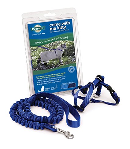 Premier Pet Come with me Kitty Harness Small Royal Blue